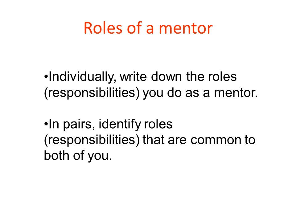 Role of the learning mentor